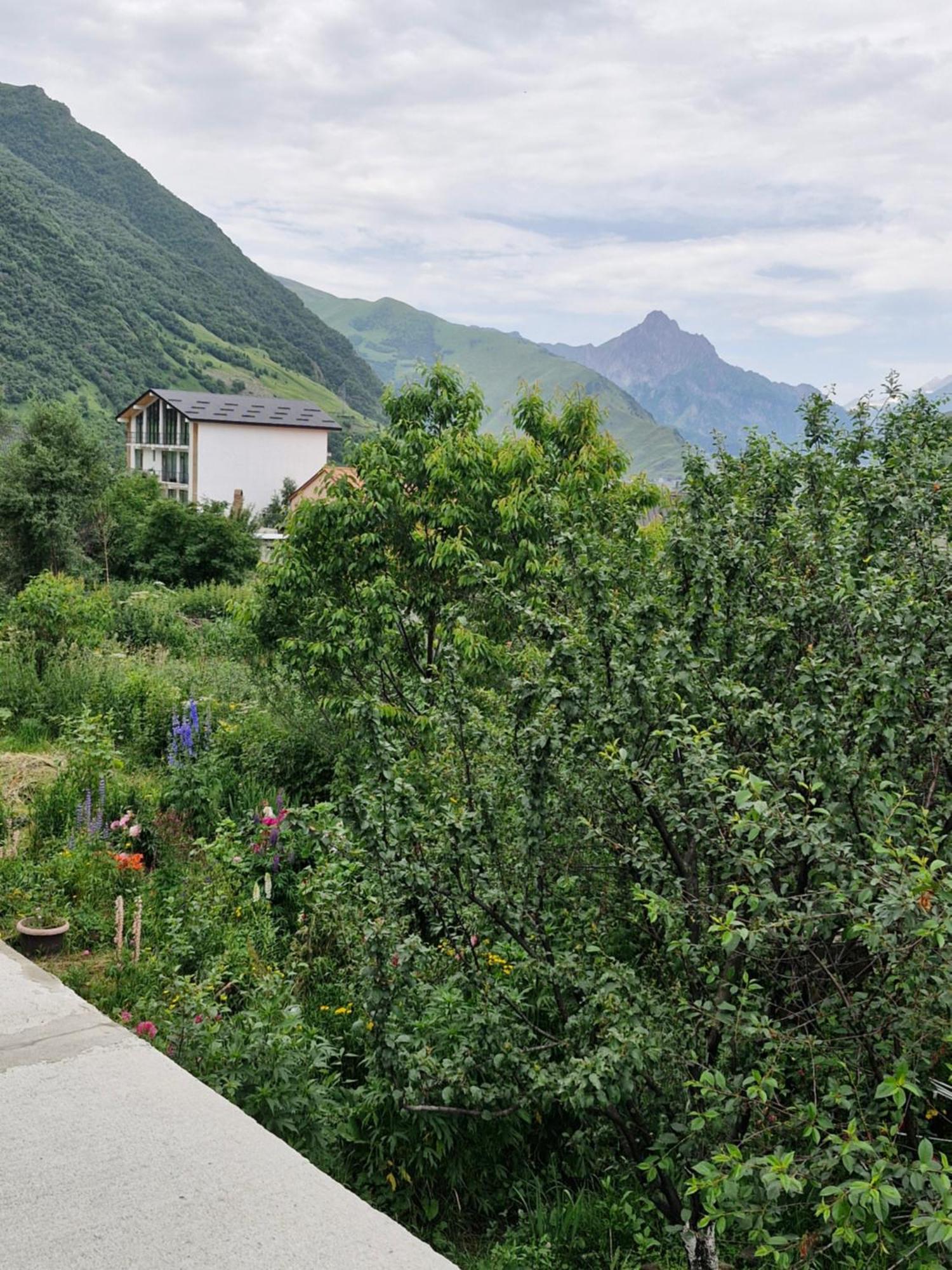 Maiko Guest House Kazbegi Kültér fotó